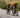 Lidl-Trek riders descending on Trek Madone road bikes