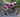 TT Bicycles vs Triathlon Bicycles - Bikeroom