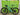 Bianchi Methanol CV FS 9.2 2022 - Shimano XTR 1x12sp - Mavic Crossmax SLR