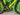 Cannondale SuperSix Evo 2022 - Shimano Ultegra 2x11sp - Mavic Cosmic SLR 32