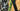 Scott Genius 920 2018 - Sram GX 1x12sp - Syncros TR2.5 CL