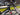 Colnago V4Rs 2024 - Shimano Ultegra Di2 2x12sp - Fulcrum Racing Wind 420 DB