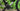 Cannondale SuperSix EVO 2022 - Sram Red eTap AXS 2x12sp - Cannondale Hollowgram Knot 45