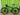 Cannondale F-Si 2016 - Shimano XTR - ENVE