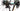Bianchi Oltre RC 2024 Team Arkéa - B&B Hotels  size 55 Shimano Dura-Ace Di2 2x12sp