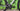 Cannondale TOPSTONE CARBON 2 ULTEGRA RX 2022 - SHIMANO ULTEGRA - WTB KOM LIGHT I23