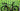 Cannondale SYSTEMSIX HM SHIMANO ULTEGRA 2020 - SHIMANO ULTEGRA 2X11 V. - CANNONDALE HOLLOWGRAM R45