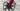 Factor O2 VAM 2025 - SRAM RED AXS 2x12v - Black Inc. 48/58