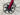 Factor O2 VAM 2025 - SRAM RED AXS 2x12v - Black Inc. 48/58