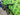 Trek checkpoint alr 5 2022 - shimano grx 11 v. - bontrager paradigm comp