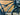 Specialized S-Works Epic FSR 2017 - Sram XX1 Eagle 12v - SpaceCarbon