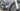 Wilier Filante Hybrid 2026 - Shimano Ultegra Di2 2x12sp - Miche SLR 42