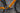 Specialized Venge 2016 - Shimano Ultegra R8050 Di2 2x11 - Fulcrum Racing S-Three