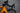 Specialized Venge 2016 - Shimano Ultegra R8050 Di2 2x11 - Fulcrum Racing S-Three