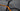 Specialized Venge 2016 - Shimano Ultegra R8050 Di2 2x11 - Fulcrum Racing S-Three