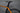 Specialized Venge 2016 - Shimano Ultegra R8050 Di2 2x11 - Fulcrum Racing S-Three