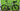 Cannondale Topstone 2 2025 - Shimano GRX 2x10sp - Cannondale GXD10