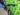 Cannondale Topstone 2 2025 - Shimano GRX 2x10sp - Cannondale GXD10