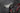 Pinarello Dogma F8 2017 - Campagnolo Super Record EPS 2x11sp - Fulcrum Racing Quattro