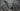 Cannondale Synapse SPT 2016 - Shimano 105 2x11sp - Shimano RX