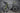 Cannondale Synapse SPT 2016 - Shimano 105 2x11sp - Shimano RX