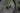 Cannondale Synapse SPT 2016 - Shimano 105 2x11sp - Shimano RX