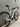 Cervélo Aspero 2025 - SRAM Apex XPLR - Fulcrum Rapid Red 300
