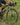 Megamo Jakar 20 2025 - Sram Apex 1x11sp - Megamo SL 25 ASY