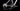 Wilier USMA SL 2026 - SRAM NX 1x12sp - MICHE WSET MTB XMX 45.29 BOOST SH COP