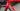 Pinarello F Carbon - SRAM Red eTap - Fulcrum Speed