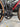 Orbea Terra M20 EKAR - Campagnolo Ekar - Campagnolo carbon