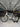 Trek Domane SL5 Carbon - Shimano 105