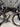 Specialized S-Works Venge Di2 Carbon - Shimano Ultegra Di2 - DT Swiss ARC1400 carbon