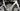 Scott Foil RC Team 2025 - SRAM Red AXS 2x12sp - Zipp 303S