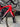 Pinarello F Carbon - SRAM Red eTap - Fulcrum Speed