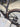 Trek Madone SLR7 - Shimano Ultegra Di2 - Bontrager Aerolus Pro