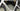 Scott Foil RC Team 2025 - SRAM Red AXS 2x12sp - Zipp 303S