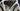 Trek Domane SL5 Carbon - Shimano 105