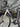 Trek Emonda SL6 Carbon - Shimano Ultegra
