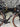 De Rosa Gravel - Shimano GRX Di2