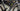 Specialized S-Works Tarmac SL7 2021 - Roval Rapide CLX