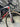 Ridley Noah Fast  2024 - Sram Rival eTap AXS 2x12sp - Forza Carbon Vardar DB