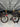 Giant Defy SL - Shimano Ultegra Di2 - Fulcrum Airbeat 550