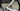 Trek Domane SL5 Carbon - Shimano 105