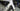 Scott Foil RC Team 2025 - SRAM Red AXS 2x12sp - Zipp 303S