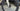 Trek Madone SLR Carbon - SRAM Force AXS 2x12sp - Bontrager Aeolus Pro 51 carbon