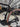 De Rosa Gravel - Shimano GRX Di2