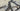 Specialized S-Works Tarmac SL7 2021 - Roval Rapide CLX