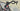 Ridley Noah Fast  2024 - Sram Rival eTap AXS 2x12sp - Forza Carbon Vardar DB