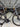 Scott Addict RC Pro - Shimano Dura-Ace Di2